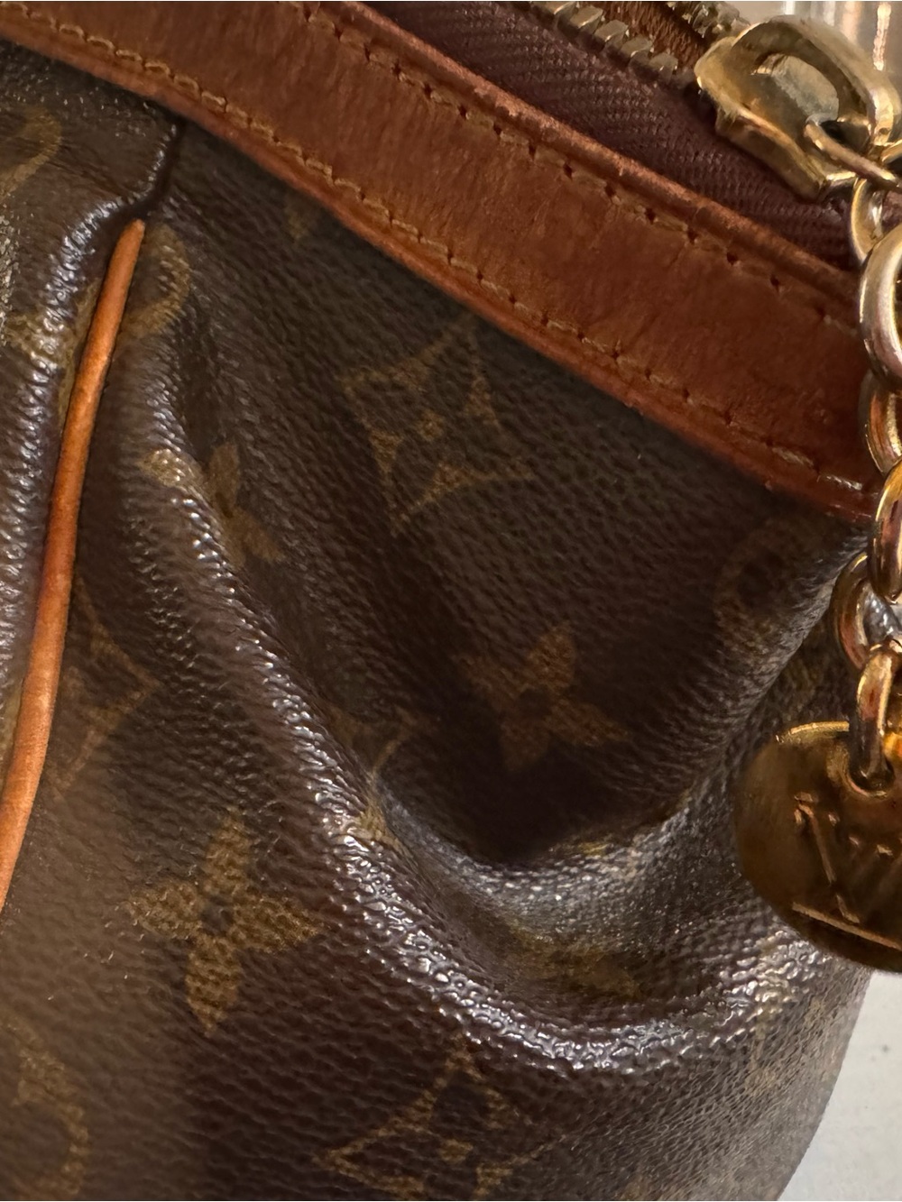 Louis Vuitton Monogram Canvas Tote in Brown and Golden Monogram - Picture 5 of 8
